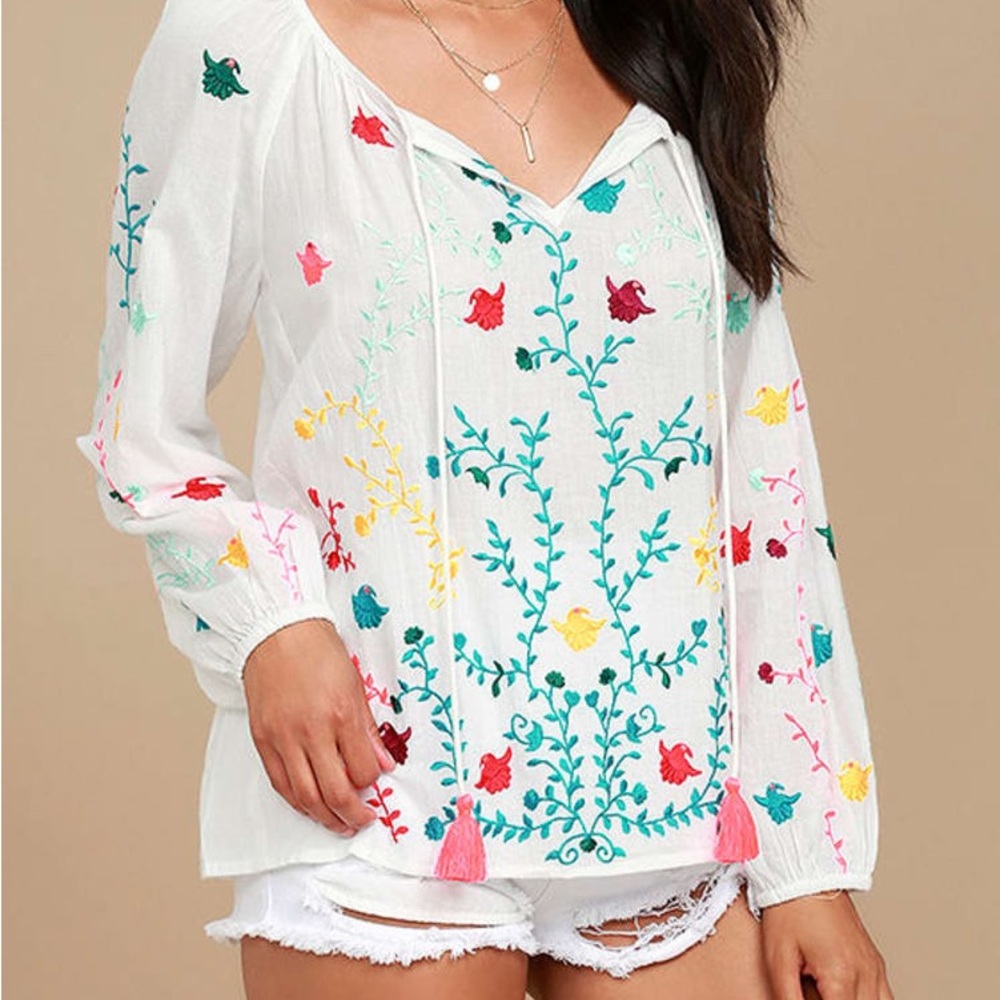 Anthropology Love Stitch embroidered shirt
